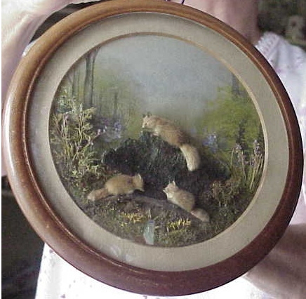 Red Fox Young (7-inch)